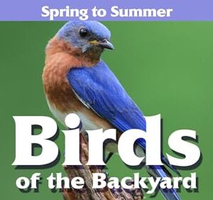 Birds of the Backyard: Spring in to Summer