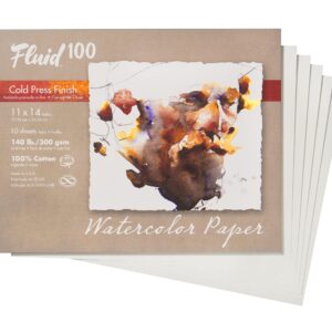 Fluid 100 Artist Watercolor Paper, 140 lb (300 GSM) 100% Cotton Cold Press for Watercolor Painting and Wet Media, 11 x 14 Pochette, 8 Sheets