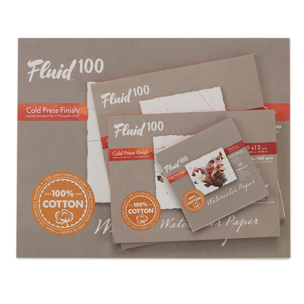 Fluid 100 Artist Watercolor Paper, 140 lb (300 GSM) 100% Cotton Cold Press for Watercolor Painting and Wet Media, 11 x 14 Pochette, 8 Sheets