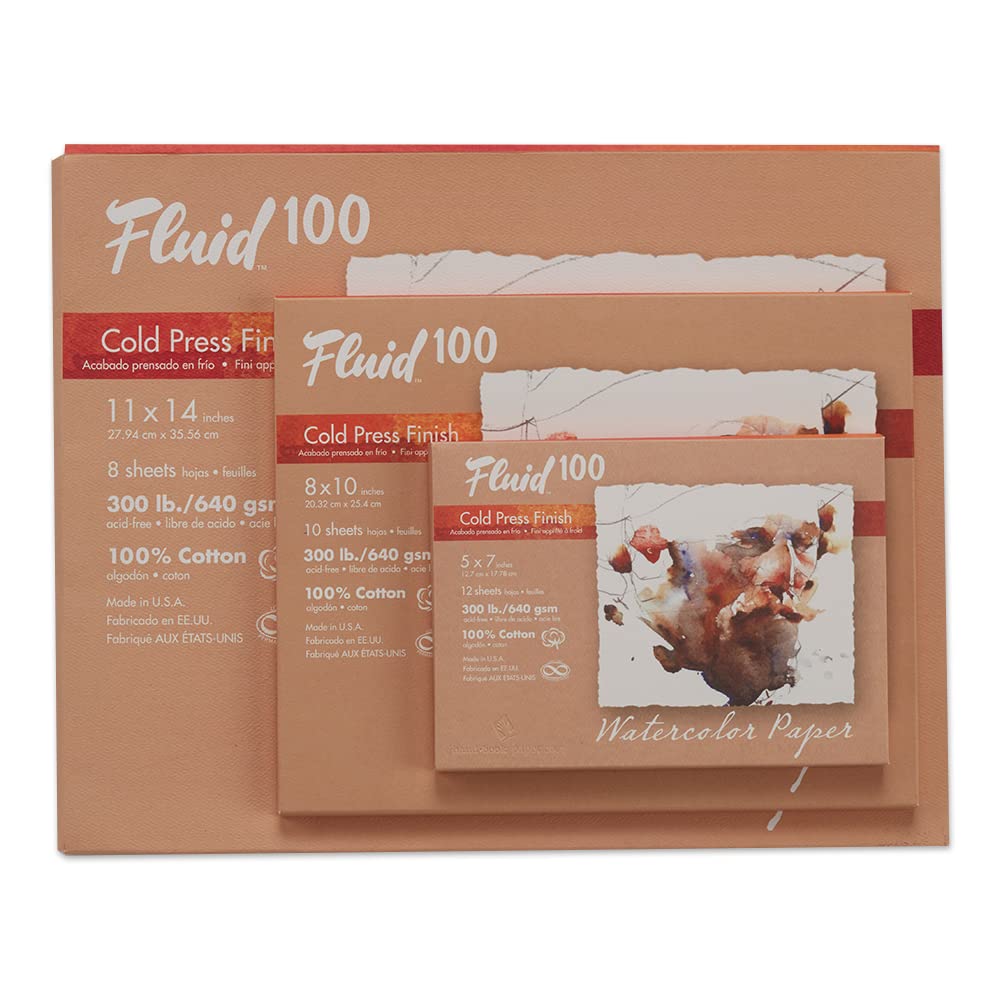 Fluid 100 Artist Watercolor Paper, 300 lb (640 GSM) 100% Cotton Cold Press for Watercolor Painting and Wet Media, 8 x 10 Pochette, 10 Sheets