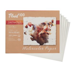 fluid 100 artist watercolor paper, 300 lb (640 gsm) 100% cotton cold press for watercolor painting and wet media, 11 x 14 pochette, 8 sheets