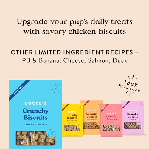 Bocce's Bakery Oven Baked Chicken Recipe Treats for Dogs, Wheat-Free Dog Treats, Made with Real Ingredients, Baked in The USA, All-Natural Chicken, Pumpkin & Rosemary Biscuits, 14 oz