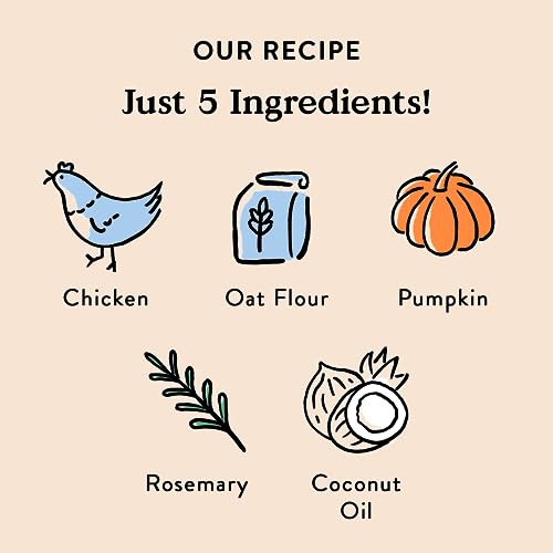 Bocce's Bakery Oven Baked Chicken Recipe Treats for Dogs, Wheat-Free Dog Treats, Made with Real Ingredients, Baked in The USA, All-Natural Chicken, Pumpkin & Rosemary Biscuits, 14 oz