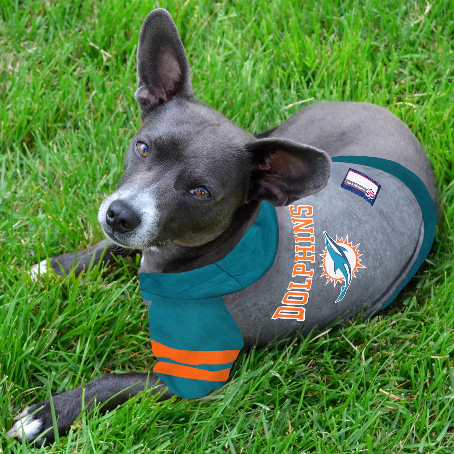 Pets First NFL Miami Dolphins Hoodie for Dogs & Cats. | NFL Football Licensed Dog Hoody Tee Shirt, Large| Sports Hoody T-Shirt for Pets | Licensed Sporty Dog Shirt