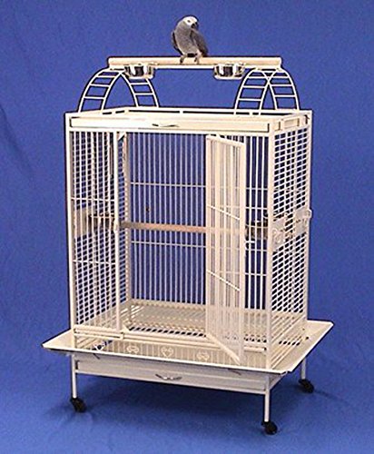 X Large Double Ladders Open PlayTop Wrought Iron Bird Parrot Cage, 36"x26"x68"H, Egg Shell White