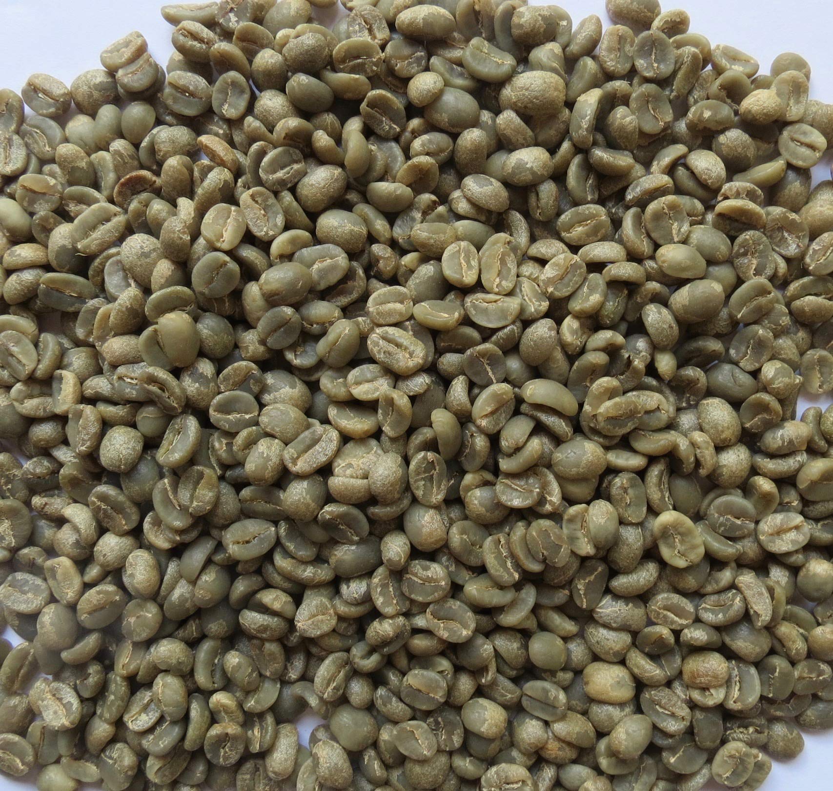 3 Lb, Single Origin Unroasted Green Coffee Beans, Specialty Grade From Single Nicaraguan Estate, Direct Trade (Caturra Varietal)