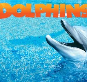 Dolphins