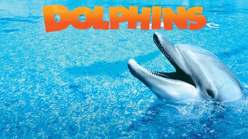 Dolphins