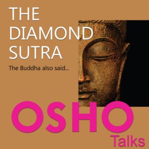 the diamond sutra: the buddha also said...