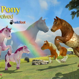 Clan of Pony