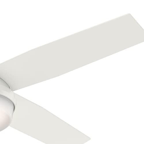 Hunter Fan Company 59242 52" Dempsey Indoor Low Profile Ceiling Fan with Light, Fresh White Finish