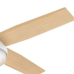 Hunter Fan Company 59242 52" Dempsey Indoor Low Profile Ceiling Fan with Light, Fresh White Finish