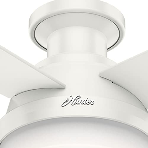 Hunter Fan Company 59242 52" Dempsey Indoor Low Profile Ceiling Fan with Light, Fresh White Finish