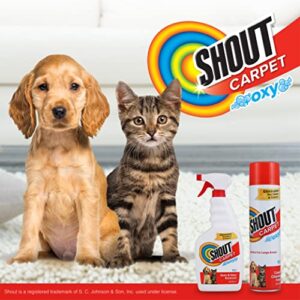 Shout Carpet Aerosol Stain and Odor Foaming Spray with OXY Power | Completely Removes Tough Urine Stains & Prevents Pet from Remarking | Safe for Kids & Pets | Fresh Scent