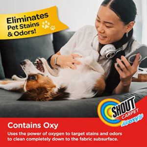 Shout Carpet Aerosol Stain and Odor Foaming Spray with OXY Power | Completely Removes Tough Urine Stains & Prevents Pet from Remarking | Safe for Kids & Pets | Fresh Scent