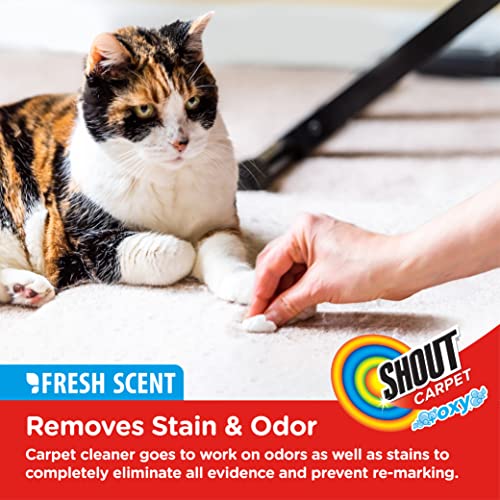 Shout Carpet Aerosol Stain and Odor Foaming Spray with OXY Power | Completely Removes Tough Urine Stains & Prevents Pet from Remarking | Safe for Kids & Pets | Fresh Scent