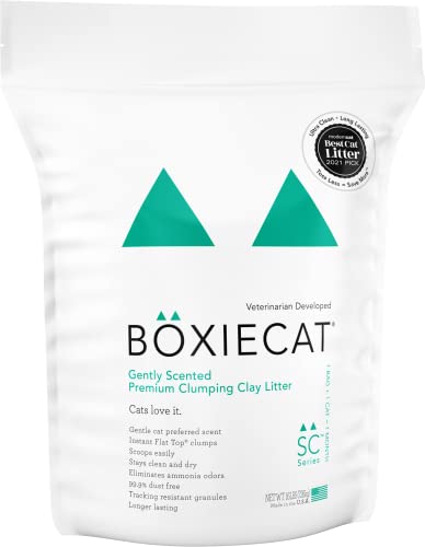 Boxie® Gently Scented 30 Day Natural Odor Control Cat Litter, 16lb Clumping Clay Kitty Litter