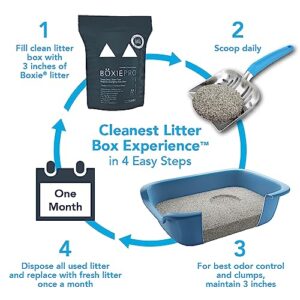 Boxie® Gently Scented 30 Day Natural Odor Control Cat Litter, 16lb Clumping Clay Kitty Litter