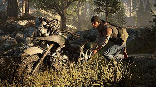 Days Gone - Playstation 4