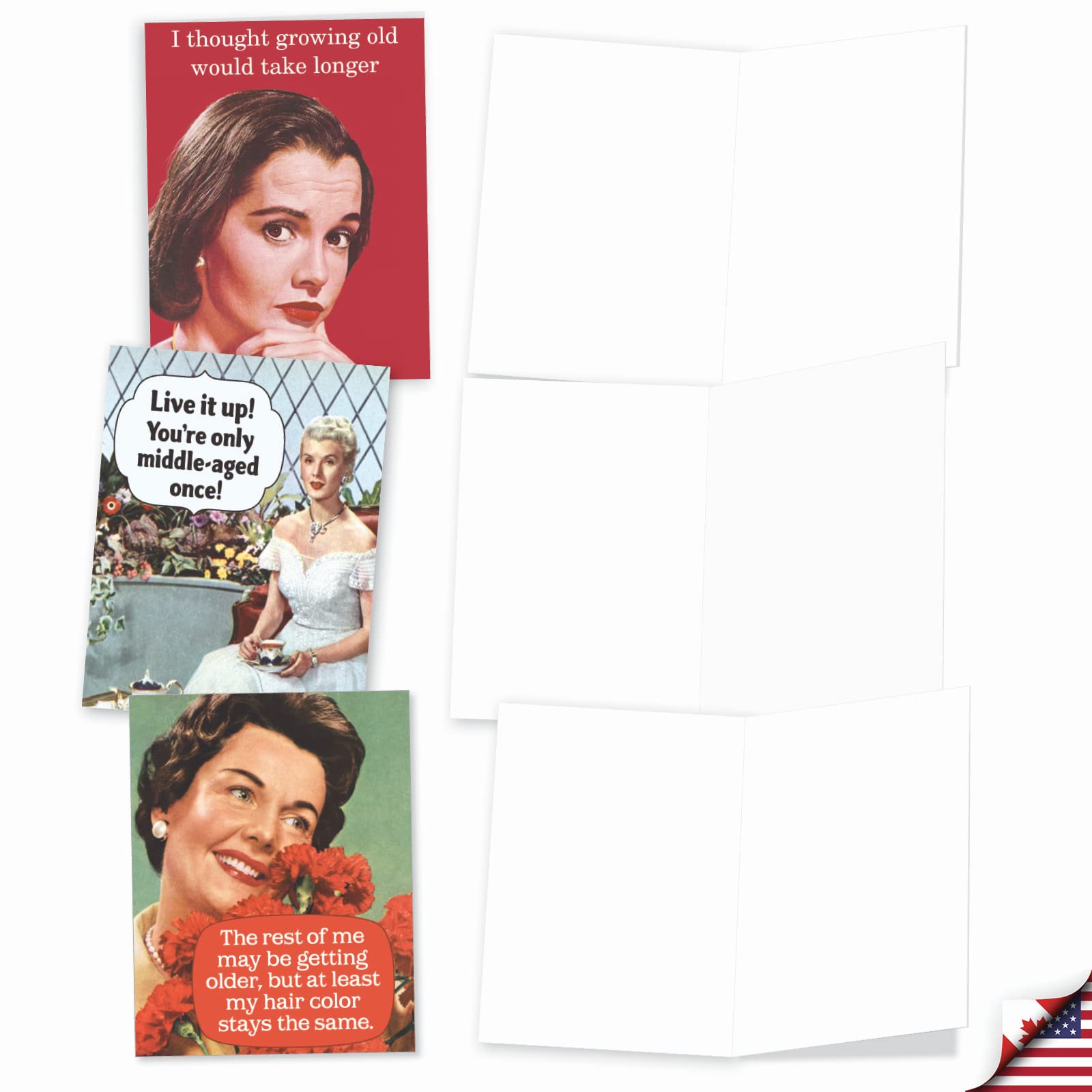 The Best Card Company - 10 Blank Funny Greeting Cards for Women (4 x 5.12 Inch) - Boxed All Occasion Assortment - Ageless Wisdom M6620OCB