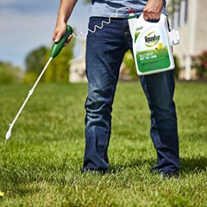 Roundup For Lawns1 Ready to Use - All-in-One Weed Killer for Lawns, Kills Weeds - Not the Lawn, One Solution for Crabgrass, Dandelions, Clover and Nutsedge, For Use on Northern Grasses, 1.33 gal.