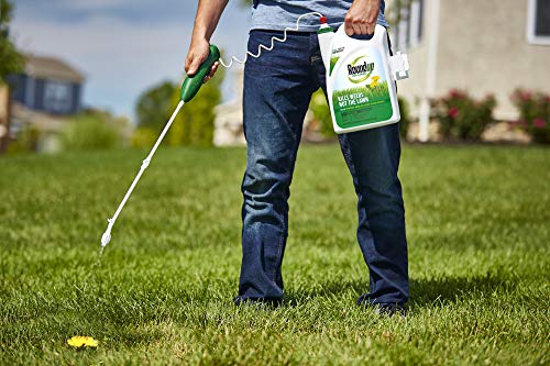 Roundup For Lawns1 Ready to Use - All-in-One Weed Killer for Lawns, Kills Weeds - Not the Lawn, One Solution for Crabgrass, Dandelions, Clover and Nutsedge, For Use on Northern Grasses, 1.33 gal.