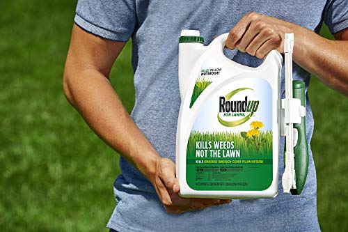 Roundup For Lawns1 Ready to Use - All-in-One Weed Killer for Lawns, Kills Weeds - Not the Lawn, One Solution for Crabgrass, Dandelions, Clover and Nutsedge, For Use on Northern Grasses, 1.33 gal.