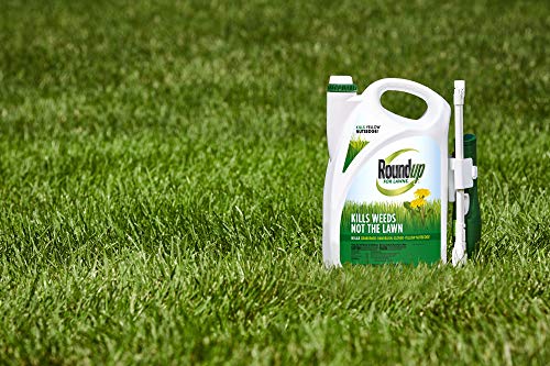 Roundup For Lawns1 Ready to Use - All-in-One Weed Killer for Lawns, Kills Weeds - Not the Lawn, One Solution for Crabgrass, Dandelions, Clover and Nutsedge, For Use on Northern Grasses, 1.33 gal.