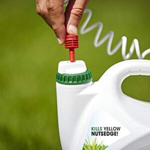 Roundup For Lawns1 Ready to Use - All-in-One Weed Killer for Lawns, Kills Weeds - Not the Lawn, One Solution for Crabgrass, Dandelions, Clover and Nutsedge, For Use on Northern Grasses, 1.33 gal.