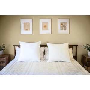 Cozy Bed Euro Throw Pillows Insert (Pack of 2, White) 26 x 26 Inches (Suitable for 25-27 pillowcase.), Bed Pillows for Sleeping European Size, Bed and Couch Pillows, Decorative Pillows