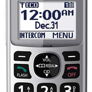 Panasonic New DECT 6.0 Cordless Phone Handset Accessory Talking Caller ID Compatible with KX-TGM450S Series Cordless Phone Systems - KX-TGMA45S (Silver)