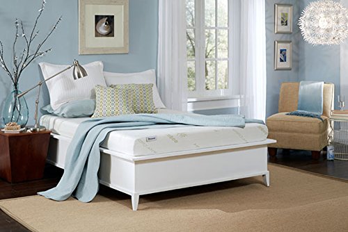 Healthy Rest Dreamer Memory Foam Mattress (Queen)