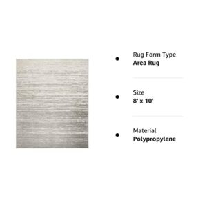 SAFAVIEH Adirondack Collection Area Rug - 8' x 10', Light Grey / Grey, Modern Ombre Design, Non-Shedding & Easy Care, Ideal for High Traffic Areas in Living Room, Bedroom (ADR113C)