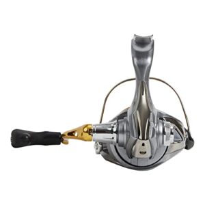 SHIMANO Sedona 1000FI, Freshwater Spinning Fishing Reel