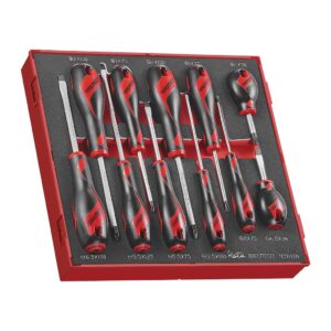 teng tools 11 piece mixed screwdriver set (flat, ph, pz,) in precision eva foam tray - ted911n, silver