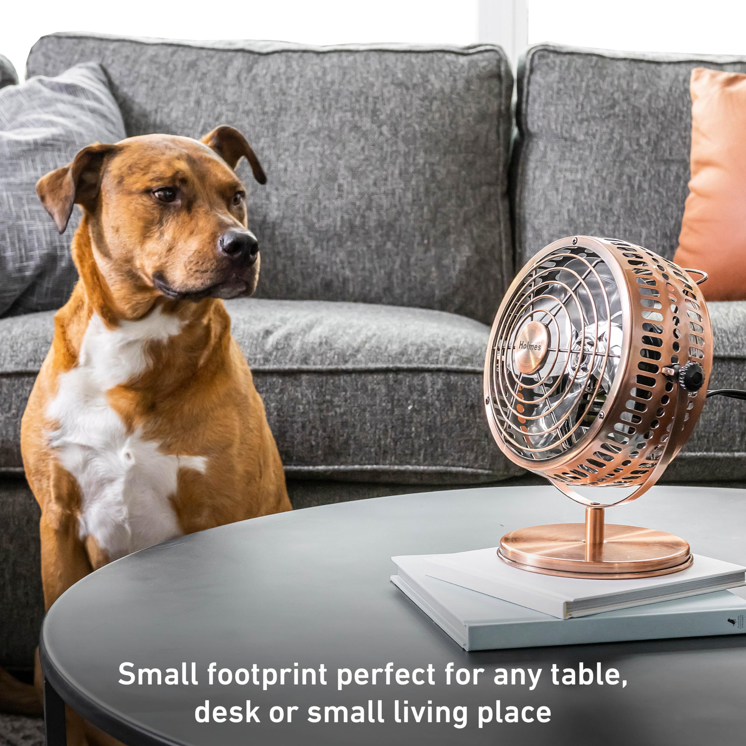 HOLMES 6" Heritage Table Fan, 2 Speeds, 4 Blades, Adjustable 145° Head Tilt, Metal Construction, Ideal for Home, Bedrooms, Dorm Rooms or Office, Brushed Copper