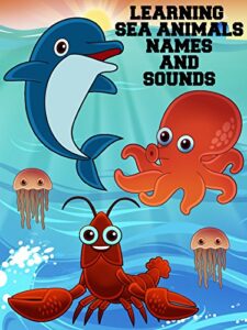 learning sea animals names and sounds