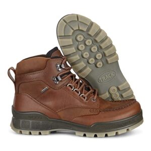 ECCO mens Track 25 High Gore-tex Hiking Boot, Bison/Bison Oil Nubuck, 12 US