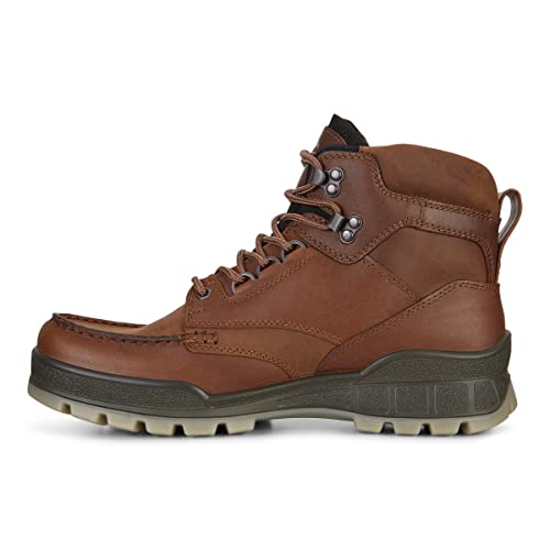 ECCO mens Track 25 High Gore-tex Hiking Boot, Bison/Bison Oil Nubuck, 12 US