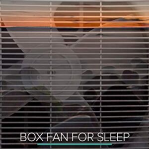 Box Fan for Sleep