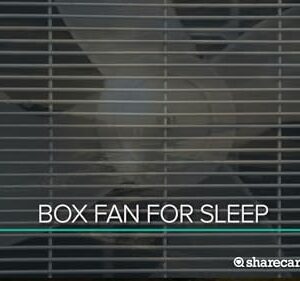 Box Fan for Sleep