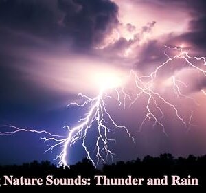 Relaxing Nature Sounds: Thunder and Rain