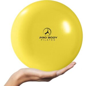 probody pilates ball exercise balls physical therapy, small exercise ball for between knees, 9 inch core ball, stability ball or barre ball for rehab, yoga, physical therapy ball