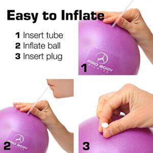 ProBody Pilates Ball Exercise Balls Physical Therapy, Small Exercise Ball for Between Knees, 9 Inch Core Ball, Stability Ball or Barre Ball for Rehab, Yoga, Physical Therapy Ball