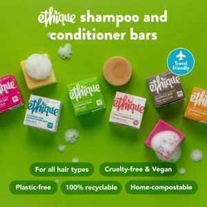 Ethique Nourishing Solid Conditioner Bar for Balanced to Dry & Damaged Hair - The Guardian - Vegan, Eco-Friendly, Plastic-Free, Cruelty-Free,2.12 oz (Pack of 1)