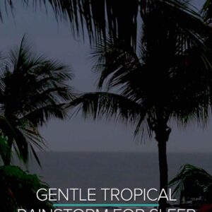 Gentle Tropical Rainstorm for Sleep 9 Hours