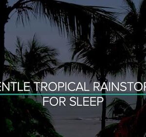 Gentle Tropical Rainstorm for Sleep 9 Hours