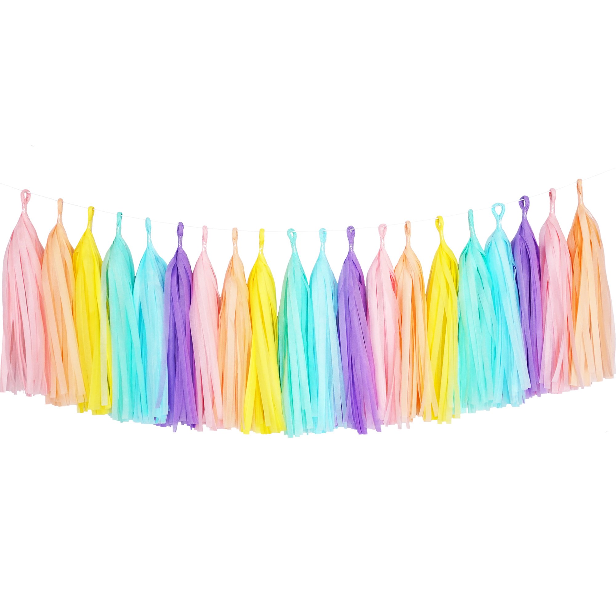 Tissue Paper Tassel DIY Party Garland Decor for All Events & Occasions - 20 Tassels Per Package (Rainbow Pastel)