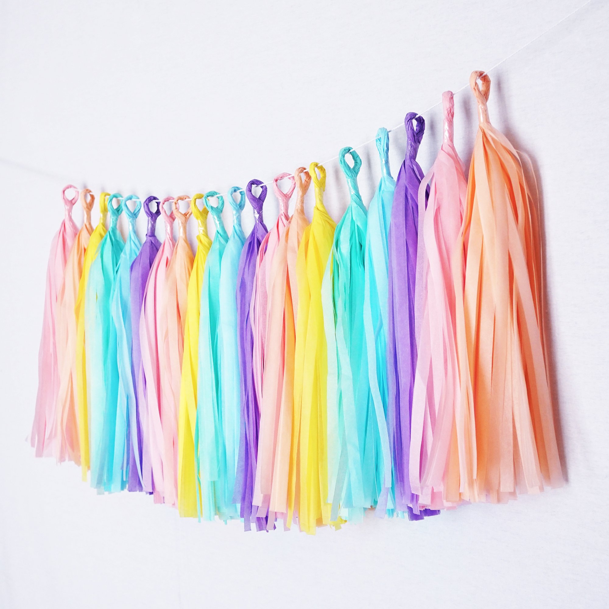 Tissue Paper Tassel DIY Party Garland Decor for All Events & Occasions - 20 Tassels Per Package (Rainbow Pastel)