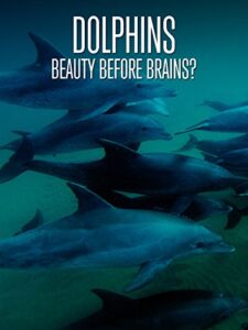 dolphins: beauty before brains?